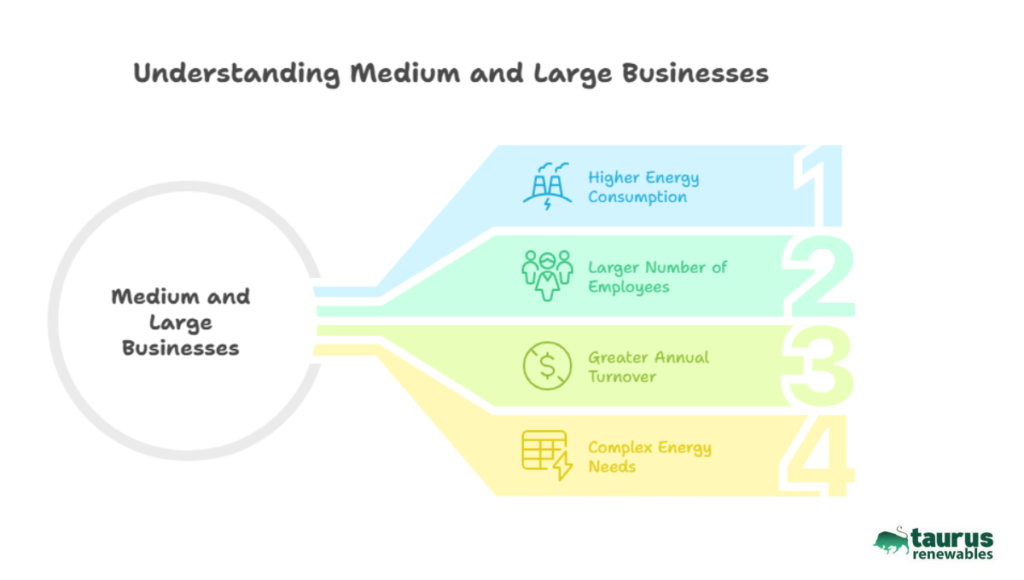 Medium and Large Businesses