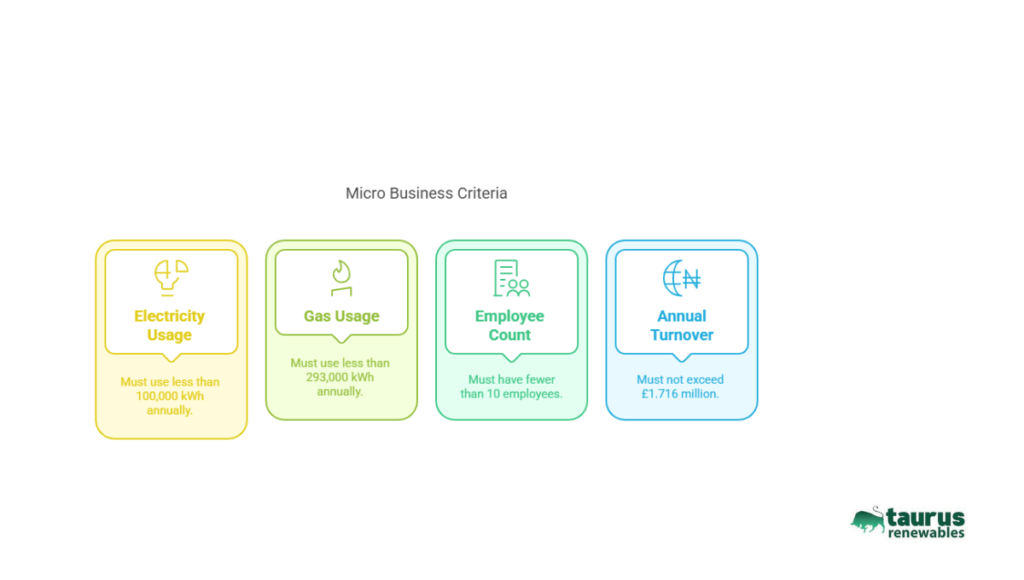 Micro Businesses
