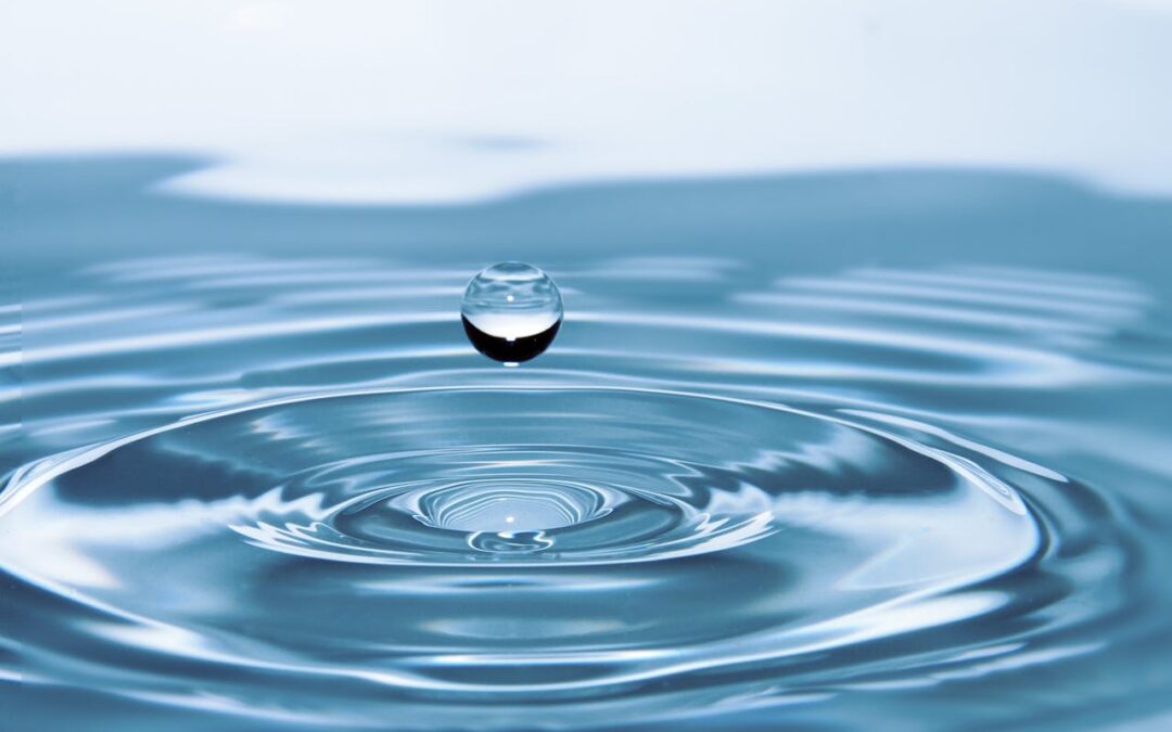 What Are Business Water Suppliers?