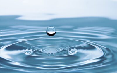 What Are Business Water Suppliers?