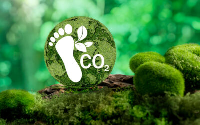 What If Every Business Tracked Its Carbon Footprint Like Its Profit Margin?